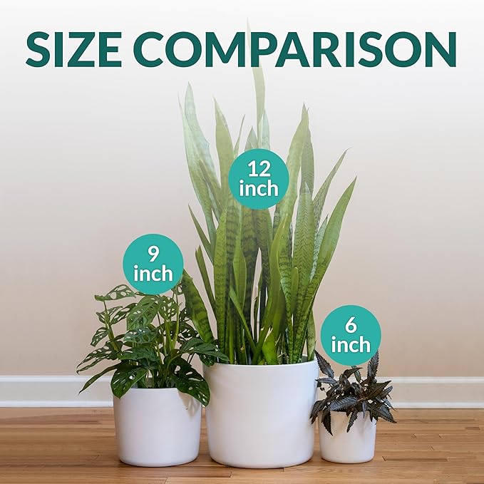 Willowy 9 Inch Matte White Ceramic Planter with Drainage - Ceramic Plant Pots for Indoor, White Indoor Planter, Flower Pot, 9 Inch Plant Pot