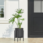 FaithLand 10-Inch Modern Cylinder Planter, Thick-Walled Plastic Plant Pot with Drainage Holes and Detachable Saucer, Matte Black, Ideal for Indoor & Outdoor Plants Flowers