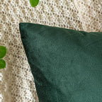 EMEMA Pack of 2 Velvet Christmas Throw Pillow Covers Decorative Square Pillowcase Soft Solid Cushion Case for Sofa Bedroom Chair Car 24x24 Inch Dark Green