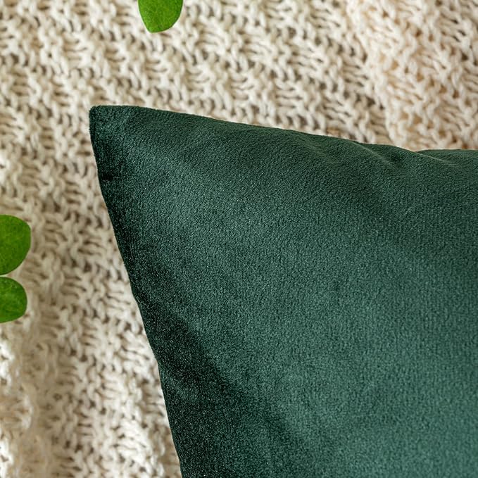 EMEMA Pack of 2 Velvet Christmas Throw Pillow Covers Decorative Square Pillowcase Soft Solid Cushion Case for Sofa Bedroom Chair Car 24x24 Inch Dark Green
