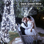 Christmas Lights Outdoor, 66FT 200 LED White Christmas Tree Lights with 8 Modes Waterproof, Plug in Green Wire Connectable String Light for Indoor House Patio Wedding Party Decorations