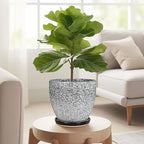Ceramic Planter - 6 Inch Plant Pot for Indoor Ourdoor Plants, Round Succulent Planter, Decorative Flower Pots with Drainage Hole and Saucer, Home Desk Decor, Housewarming Gifts, White-Black