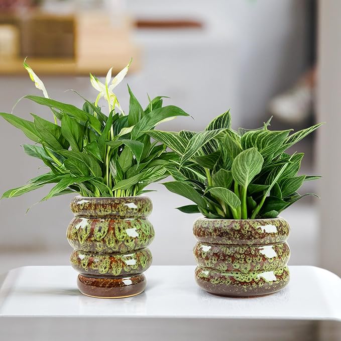 Ceramic 5 inch Plant Pot - Planter for Indoor Plants with Drainage Hole, Flower Pots for Orchid, Succulent,Outdoor Plants, Modern Glaze Planters for Home Office Decor Gift