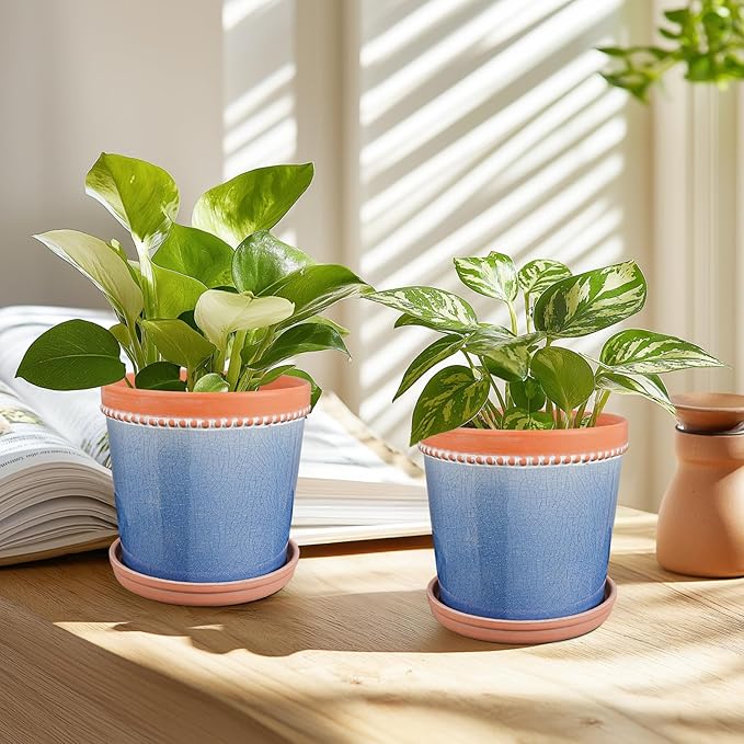 6 Inch Plant Pots, Ceramic Pots for Plants with Drainage Hole and Saucer,Modern Flower Pots Indoor/Outdoor Pot for Plants,Set of 2 - Crackle Glaze Blue