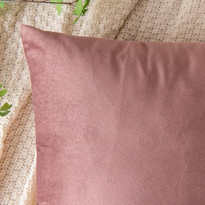 EMEMA Pack of 2 Velvet Throw Pillow Covers Decorative Square Pillowcase Soft Solid Cushion Case for Sofa Bedroom Chair Car 20x20 Inch Dusty Rose