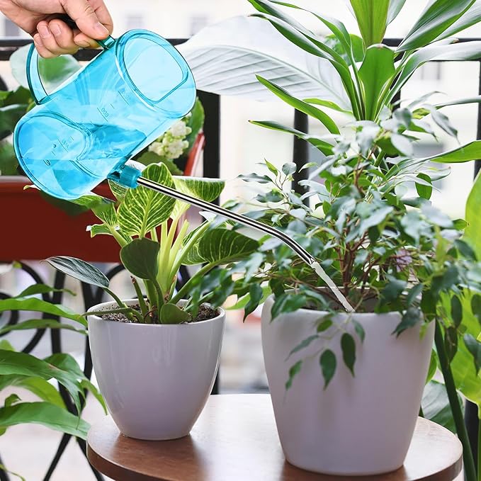 Small Plastic Watering Can - for Home Garden - with Long Spout - 1/4 Gallon - 34 Oz - Sky Blue