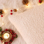 AQOTHES Beige Winter Throw Pillow Covers 18x18 Inch Set of 2, Boucle Faux Fur Pillow Covers,Cozy Fluffy Home Living Room Farmhouse Decor for Sofa Couch Bed