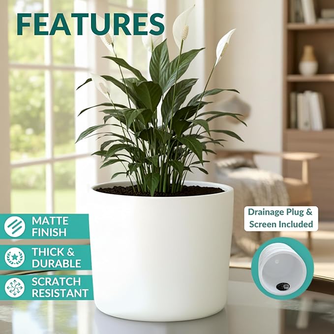 Willowy 9 Inch Matte White Ceramic Planter with Drainage - Ceramic Plant Pots for Indoor, White Indoor Planter, Flower Pot, 9 Inch Plant Pot