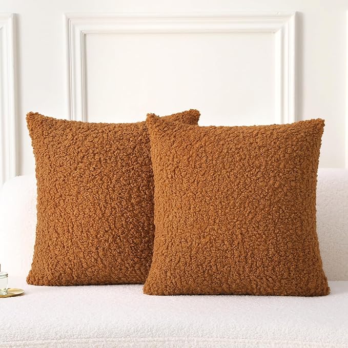 FUTEI Rust Throw Pillow Covers 20x20 Inch Set of 2,Furry Faux Fur Teddy Boucle Textured Cushion Covers,Soft Fluffy Decorative Pillow Case,Home Decor for Couch Bed Living Room Office Car