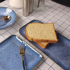Porcelain Dinner Plates set dessert salad dish Set of 4,Main Dish for Steak,Bread, Pasta,Salad, Microwave Oven and Dishwasher Safe,Scratch Resistant Reusable 9.8 INCH Rectangular