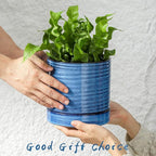 Hasense Plant Pot, 6 Inch Ceramic Kitchen Garden Pot for Plant with Drainage Hole and Tray, Indoor/Outdoor Succulent Herb Planter, Modern Blue Home Office Decorative Gifts
