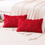OTOSTAR Set of 2 Xmas Soft Plush Short Wool Velvet Decorative Throw Pillow Covers Rectangular Luxury Style Cushion Case Pillow Shell for Sofa Bedroom Snowflake Red, 16x24 Inch