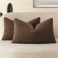 Foindtower Pack of 2, Curly Faux Fur Decorative Throw Pillow Covers Soft Fuzzy Plush Cushion Case with Zipper Cozy Pillowcase for Home Living Room Couch Bed Sofa 12 x 20 Inch,Dark Brown