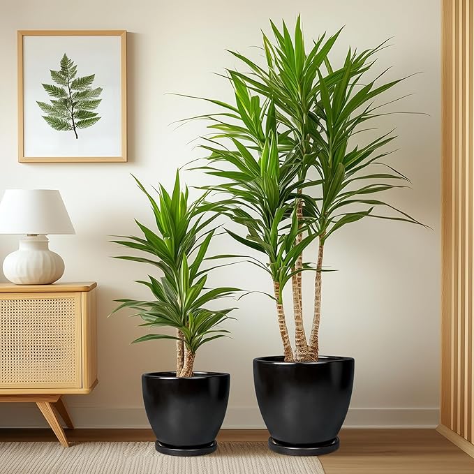 Ceramic Plant Pots - 10+8+6 Inch Modern Round Planters for Indoor Outdoor with Drainage Holes and Plant Saucers, Room Patio House Office Decor, Gardening Gifts for Women Men, Set of 3, Black