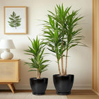 Ceramic Plant Pots - 10+8+6 Inch Modern Round Planters for Indoor Outdoor with Drainage Holes and Plant Saucers, Room Patio House Office Decor, Gardening Gifts for Women Men, Set of 3, Black