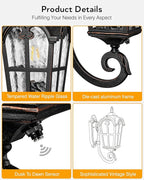 VIANIS Outdoor Wall Light, Oil Rubbed Bronze Porch Lights Outdoor, Dusk to Dawn Outside Lantern Fixtures Wall Mount, 100% Aluminum Exterior Lighting Fixtures for House, Garden, Patio, Entryway
