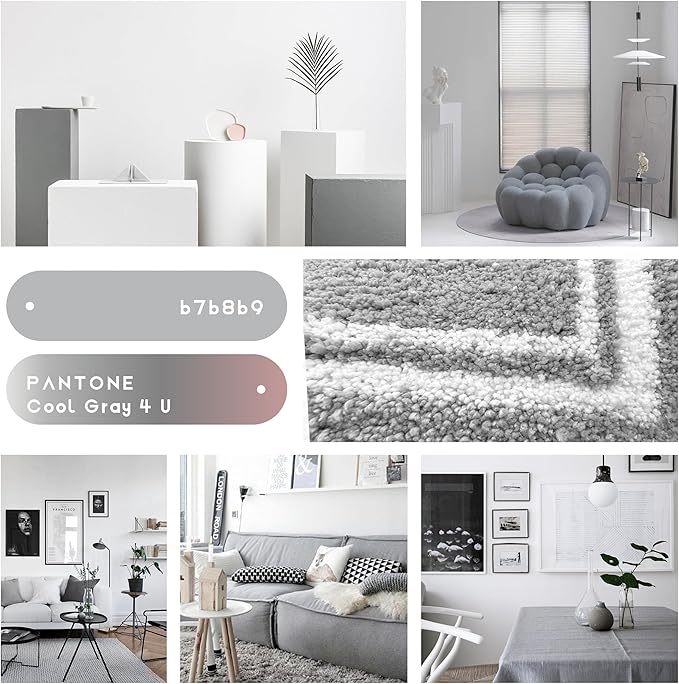 Tititex Luxury Grey White Frame Line Bathroom Rug, 16x24 inch Extra Soft and Absorbent Microfiber Bath Rugs, Non-Slip Plush Shaggy Bath Carpet, Bath Mats for Bathroom Floor, Tub and Shower