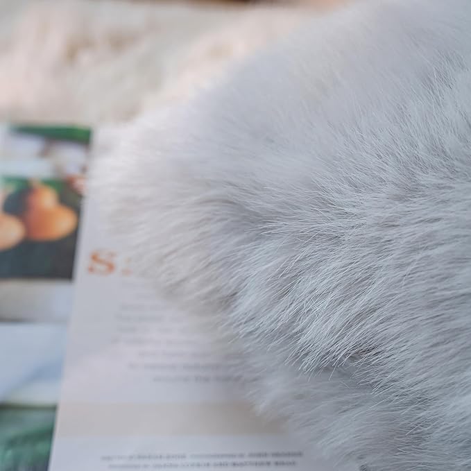 Neelvin Light Grey Faux Fur Cozy Fluffy Double-Sided Decorative Throw Pillow Covers 18x18 inch Set of 2,Velvet Pillowcase Cushion Case for Sofa Couch