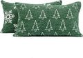 2 Pack Soft Chenille Christmas Reversible Throw Pillow Covers 12x20, Holiday Double-Sided Snowflake & Tree Cushion Cases for Sofa Couch Living Room(Green,20x12)