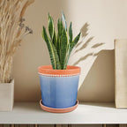 6 Inch Plant Pots, Ceramic Pots for Plants with Drainage Hole and Saucer,Modern Flower Pots Indoor/Outdoor Pot for Plants,Set of 2 - Crackle Glaze Blue