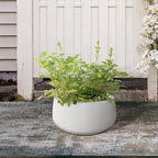 Kante 15.7" Dia Round Concrete Planter, Outdoor Indoor Garden Plant Pots with Drainage Hole and Rubber Plug, Modern Curvaceous Design, Pure White