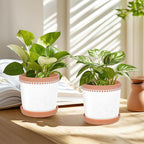 Ceramic Plant Pots, 6 Inch Planters for Indoor Plants, Flower Pots with Drainage Hole and Saucer, Set of 2 - Crackle Glaze White