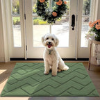 hicorfe Front Door Mat Outside Entrance,32"x40" Absorbent Muddy Dirt Resist Welcome Door Mats Outdoor Indoor,Stain and Fade Resistant,Non Slip Backing Entry Mat Doormat for Entryway(Green)