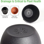 WOUSIWER Plant Pots 10/9/8 inch, Set of 3 Modern Decorative Plastic Planters with Drainage Holes and Saucers for House Plants Indoor Flowers Plants, Black