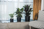 Ekirlin 9 inch Plant Pots,Ceramic Flower Planters Indoor,Modern Succulents Containers with Drain Hole Saucer,Decorate Home,Office & Outdoor (Black)