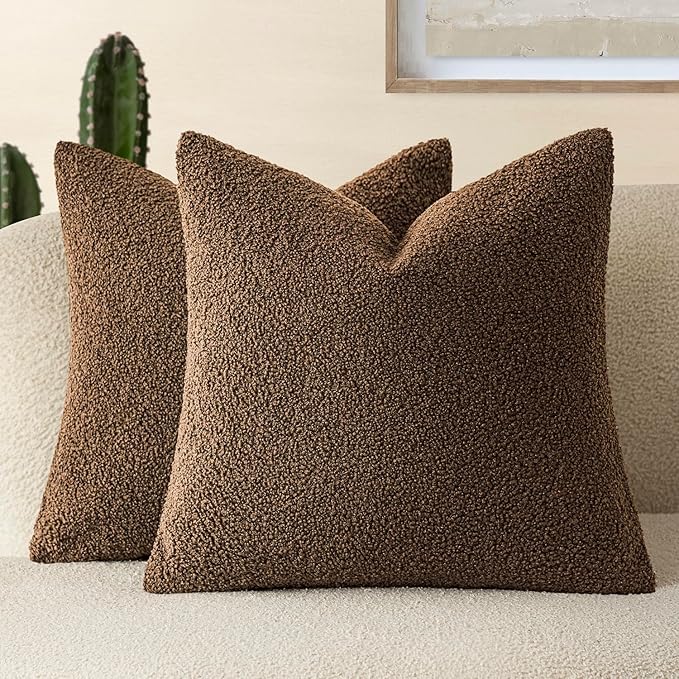 Foindtower Pack of 2, Curly Faux Fur Decorative Throw Pillow Covers Soft Fuzzy Plush Cushion Case with Zipper Cozy Pillowcase for Home Living Room Couch Bed Sofa 22 x 22 Inch,Dark Brown