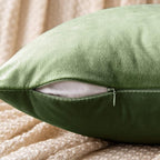 EMEMA Pack of 2 Velvet Throw Pillow Covers Decorative Square Pillowcase Soft Solid Cushion Case for Sofa Bedroom Chair Car 18x18 Inch Moss Green