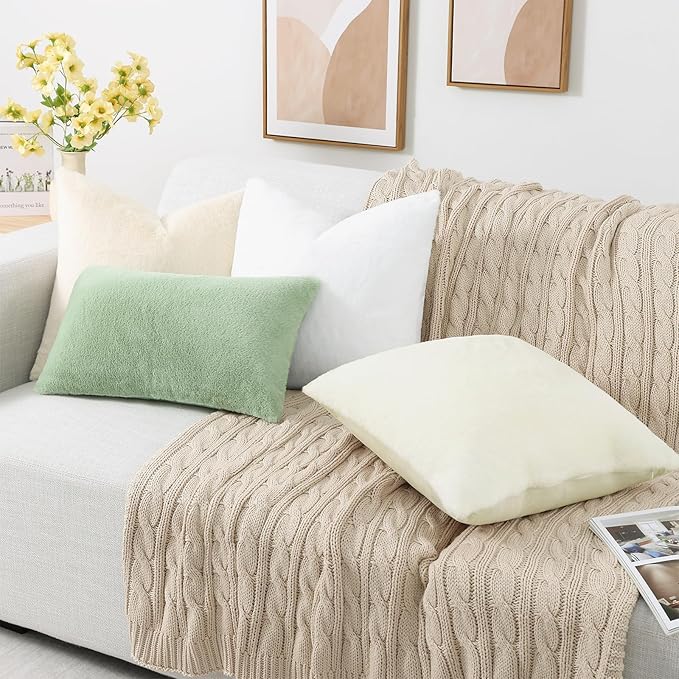 Pallene Faux Fur Plush Throw Pillow Covers 22x22 Set of 2, Soft Fluffy Couch Pillow Covers for Living Room, White