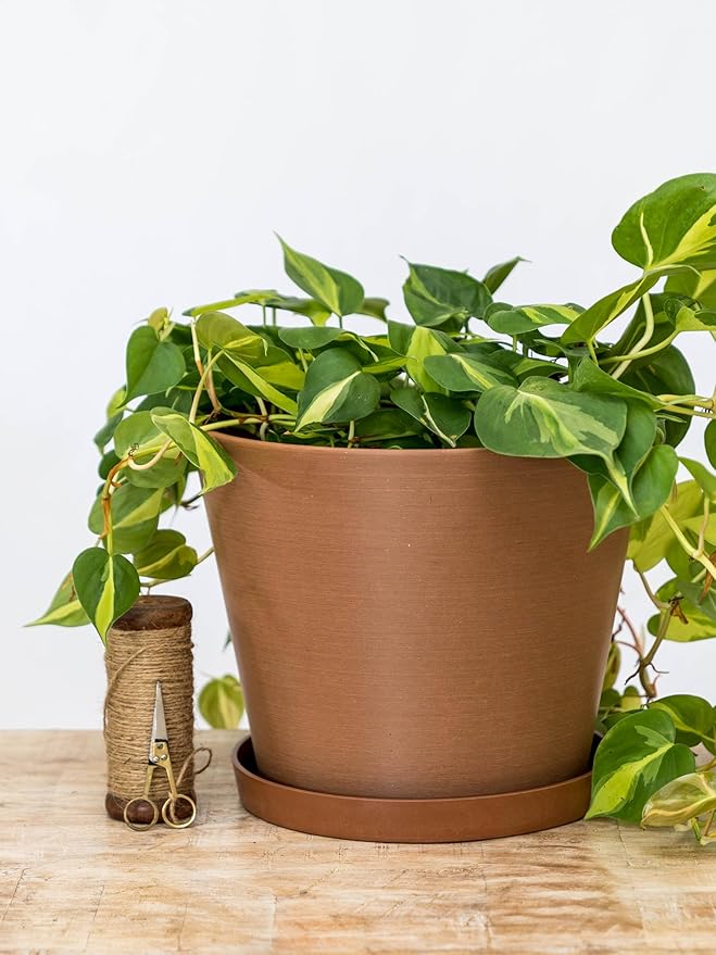 Selva Planter 16-inch, Terra, Indoor/Outdoor