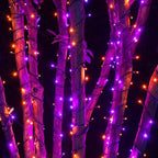 Dazzle Bright 200 LED Halloween Mini String Lights, 65FT Connectable Waterproof Plug in with 8 Modes Lights for Indoor Outdoor Patio Garden Party Decorations (Purple & Orange)