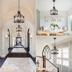 Cage Farmhouse Chandelier,Modern Pendant Light Fixture, Adjustable Height Industrial Black Chandeliers Pendant Light for Dining Room,Kitchen Island,Entryway-4 Light