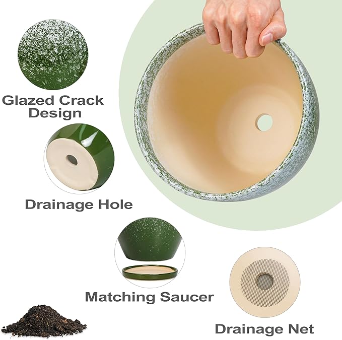 Ceraimc Plant Pot - 6 Inch Planter with Drainage and Plant Tray, Round Succulent Planters, Decorative Flower Pot for Indoor, Room Office Patio House Decor, Gifts for Women Men, Green