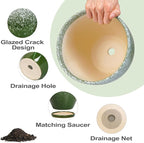 Ceraimc Plant Pot - 6 Inch Planter with Drainage and Plant Tray, Round Succulent Planters, Decorative Flower Pot for Indoor, Room Office Patio House Decor, Gifts for Women Men, Green