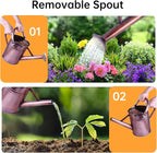 Metal Watering Can for Outdoor Plants, 1 Gallon Galvanized Steel Watering Can with Removable spout for Outdoor & Indoor Use, Perfect for Garden Flower, Houseplants, Copper