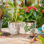 Sungmor Vintage Ceramic Planter Set of 2 - Decorative Indoor & Outdoor Flower Pots with Drainage Holes - Tuscan Décor Pots, 5.5" Ice Crackle Glaze Planters for Home, Kitchen, Patio, and Garden