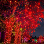 WATERGLIDE 1000 LED Christmas String Lights, 328 FT Green Wire LED Decorative Fairy Lights with Remote & 8 Modes, Waterproof for Outdoor Valentines Holiday Party Garden Wedding Home Decor, Red