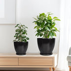 Ceramic Plant Pots - 10+8+6 Inch Modern Round Planters for Indoor Outdoor with Drainage Holes and Plant Saucers, Room Patio House Office Decor, Gardening Gifts for Women Men, Set of 3, Black