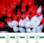 WATERGLIDE C6 Christmas Lights, 100 LED 33ft Faceted Fairy Lights Green Wire String Lights with Safe Adaptor, 8 Lighting Mode, Waterproof for Indoor Outdoor Patio Xmas Tree Party Decor, White & Red