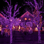 WATERGLIDE 1000 LED Halloween String Lights, 328 FT Green Wire LED Decorative Fairy Lights with Remote & 8 Modes, Waterproof for Indoor Outdoor Xmas Holiday Party Garden Wedding Home Decor, Purple