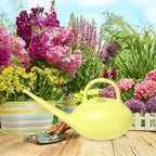 Plant Watering Can - for Indoor Plant Garden - 1/4 Gallon - Yellow