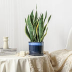 8 Inch Plant Pot: Ceramic Planter with Drainage Hole & Saucer - Gradient Blue Flowerpot for Indoor & Outdoor Plants with Separate Tray