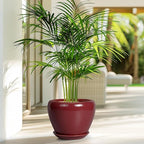 Ceramic Planter - 8 Inch Plant Pot Indoor with Drainage Hole and Saucer Planter for Outdoor Plants Round Flower Pot for House Patio Decor Red