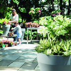 Crescent Garden Rim TruDrop Planter, Self-Watering Plant Pot, 22-Inch (Old Bronze)