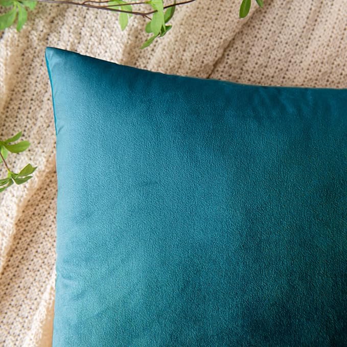 EMEMA Pack of 2 Velvet Throw Pillow Covers Decorative Square Pillowcase Soft Solid Cushion Case for Sofa Bedroom Chair Car 20x20 Inch Teal