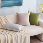 EMEMA Pack of 2 Velvet Pillow Covers Decorative Square Pillowcase Soft Solid Cushion Case for Sofa Bedroom Car 18x18 Inch Sage Green