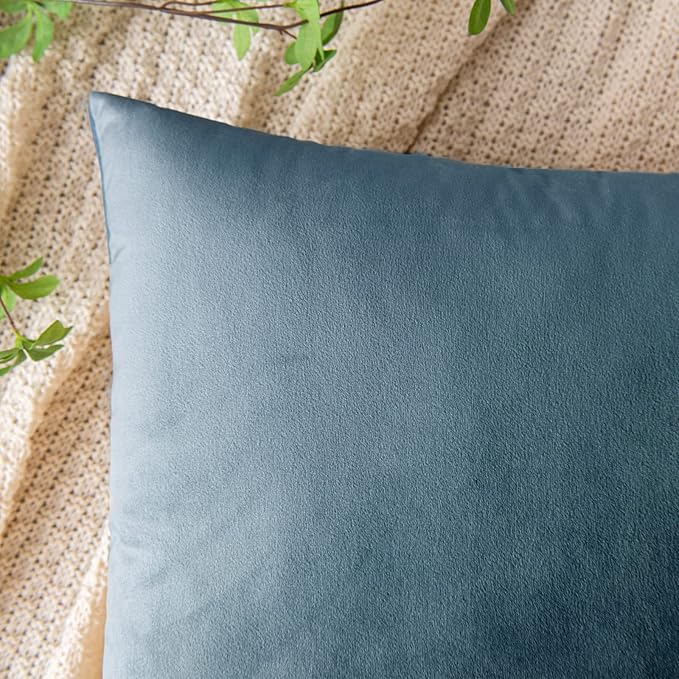 EMEMA Pack of 2 Velvet Throw Pillow Covers Decorative Square Pillowcase Soft Solid Cushion Case for Sofa Bedroom Chair Car 24x24 Inch Light Blue